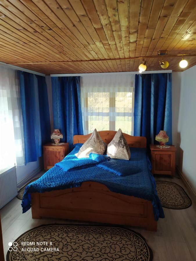 ヤレムチャ Лісова Казкаヴィラ エクステリア 写真