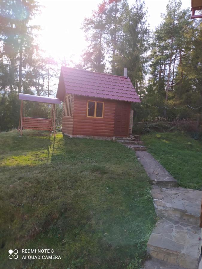 ヤレムチャ Лісова Казкаヴィラ エクステリア 写真