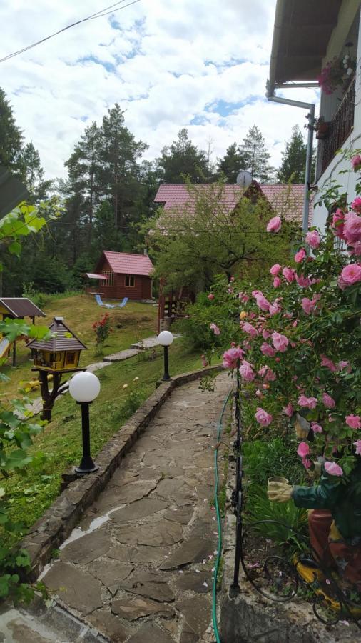 ヤレムチャ Лісова Казкаヴィラ エクステリア 写真