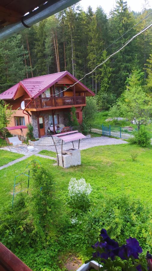 ヤレムチャ Лісова Казкаヴィラ エクステリア 写真